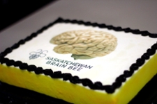 Brain Bee Cake